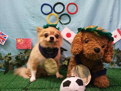 ファイル 4585-1.jpg