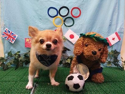 ファイル 4585-2.jpg