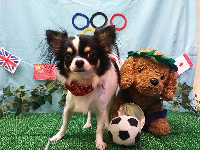 ファイル 4586-2.jpg