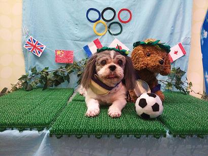 ファイル 4587-1.jpg