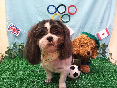 ファイル 4588-2.jpg