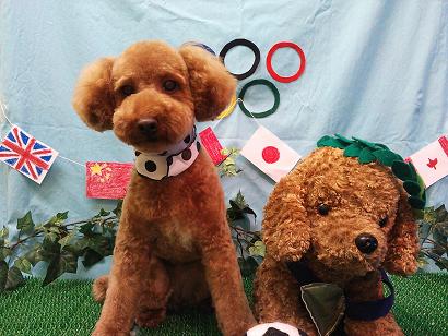 ファイル 4589-2.jpg