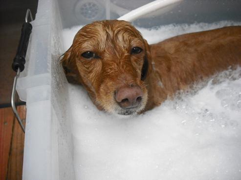 ファイル 459-2.jpg