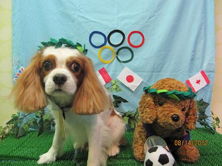 ファイル 4591-1.jpg