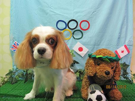 ファイル 4591-2.jpg