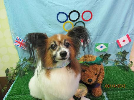 ファイル 4593-2.jpg