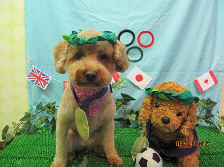 ファイル 4594-1.jpg