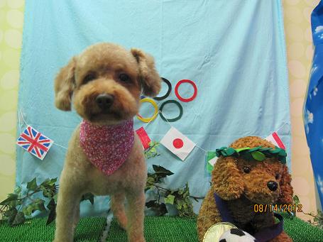 ファイル 4594-2.jpg