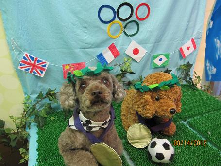 ファイル 4595-1.jpg