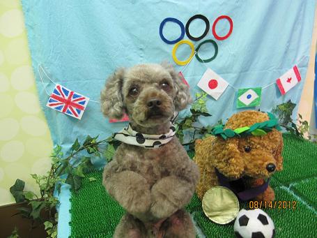 ファイル 4595-2.jpg