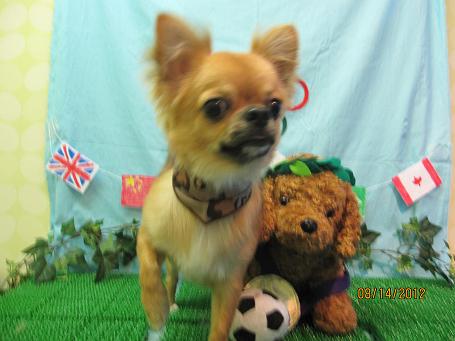 ファイル 4596-2.jpg