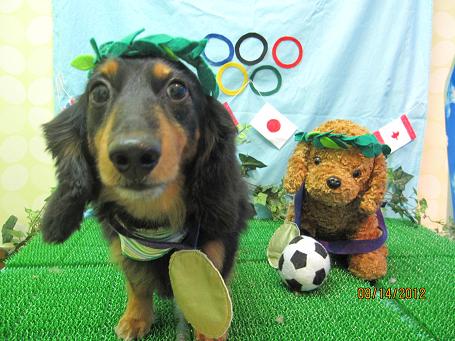 ファイル 4597-1.jpg