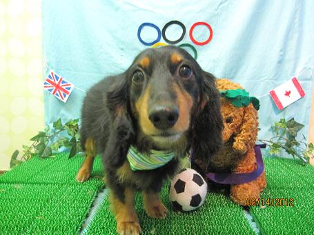 ファイル 4597-2.jpg