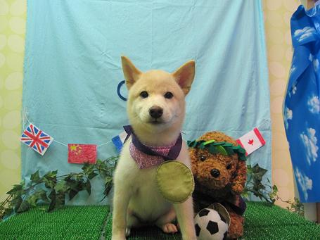 ファイル 4598-1.jpg