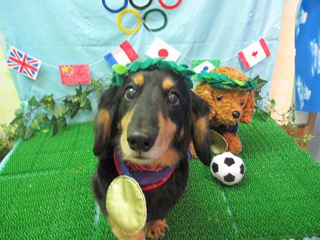 ファイル 4599-1.jpg