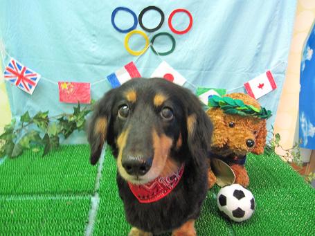 ファイル 4599-2.jpg