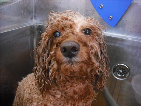 ファイル 46-2.jpg