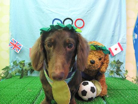 ファイル 4600-1.jpg