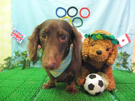 ファイル 4600-2.jpg