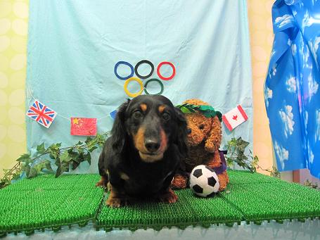 ファイル 4603-2.jpg