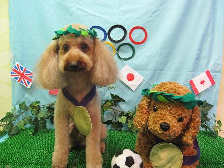 ファイル 4604-1.jpg