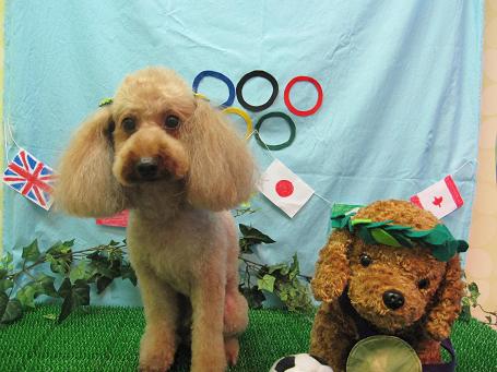 ファイル 4604-2.jpg