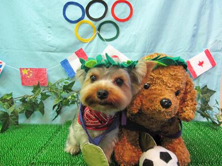 ファイル 4605-1.jpg