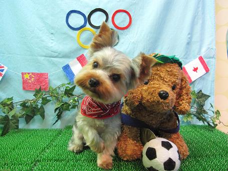 ファイル 4605-2.jpg