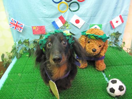 ファイル 4607-1.jpg