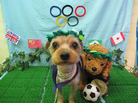 ファイル 4608-1.jpg