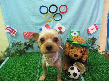 ファイル 4608-2.jpg