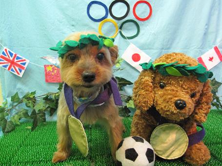 ファイル 4609-1.jpg