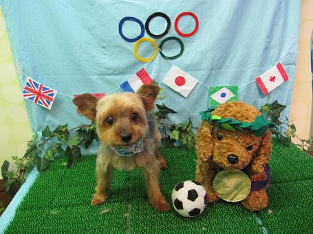 ファイル 4609-2.jpg