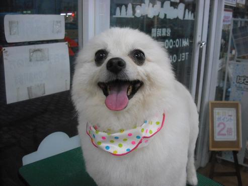 ファイル 461-2.jpg