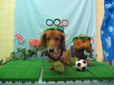 ファイル 4610-1.jpg