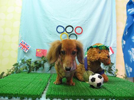 ファイル 4610-2.jpg