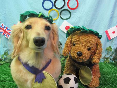 ファイル 4611-1.jpg