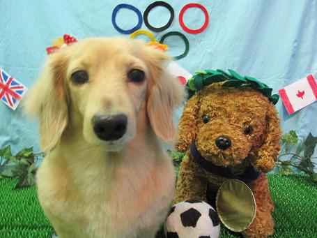 ファイル 4611-2.jpg