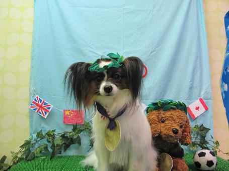 ファイル 4612-1.jpg