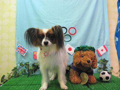 ファイル 4612-2.jpg