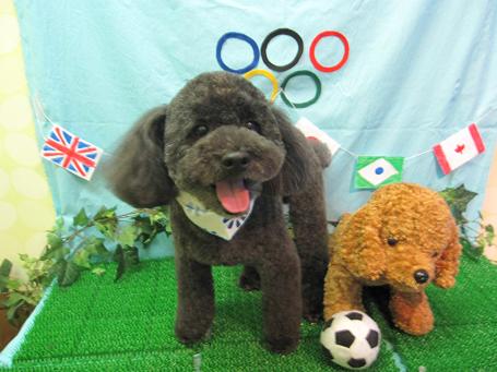 ファイル 4613-2.jpg