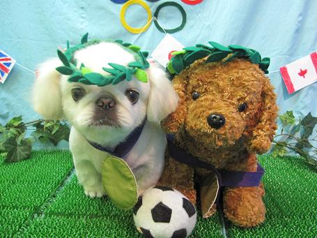 ファイル 4615-1.jpg