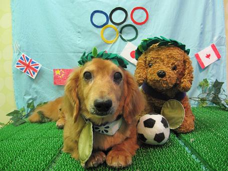 ファイル 4616-1.jpg