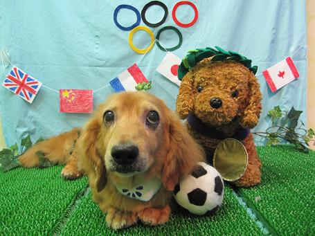 ファイル 4616-2.jpg