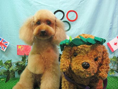 ファイル 4618-2.jpg