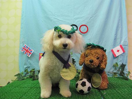 ファイル 4619-1.jpg