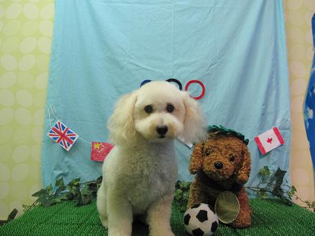 ファイル 4619-2.jpg