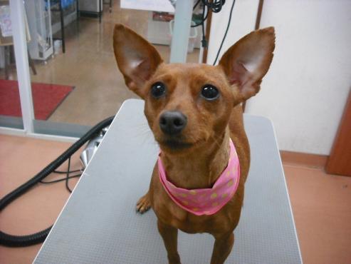 ファイル 462-1.jpg