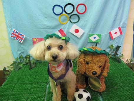 ファイル 4620-1.jpg