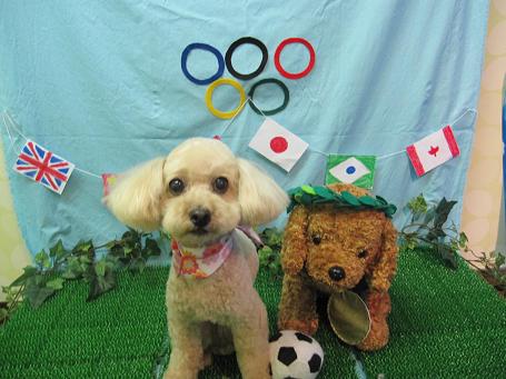 ファイル 4620-2.jpg